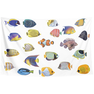 热带蝴蝶鱼珊瑚鱼插画写真水族馆鱼店装饰画背景墙布海报挂布门帘