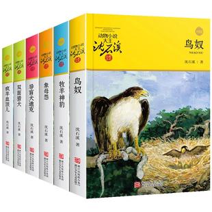 包邮 狼王梦正版沈石溪动物小说全集套共6册的书籍全系列 鸟奴疯羊血顶儿牧羊神豹 8-10-12-15岁儿童文学小学生三四五六年级课外阅