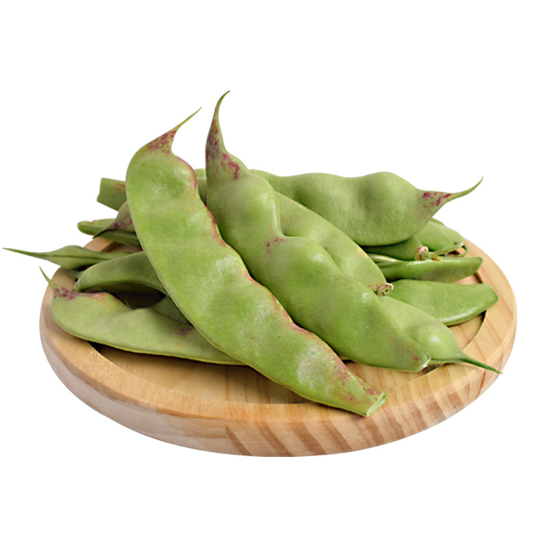 东北油豆角种子种籽一点红架豆黑龙江油豆蔬菜孑籽种四季芸豆大全