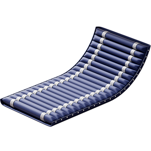 气垫床老人防褥疮医用防压疮护理专用垫家用瘫痪病人卧床充气床垫