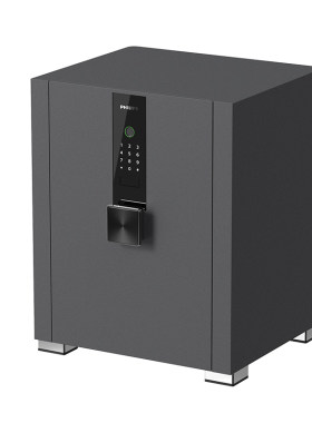 【官方旗舰】PHILIPS飞利浦200保险柜家用小型防盗智能密码指纹识别2026新款文件贵重物品保险箱入衣柜
