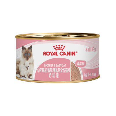 皇家幼猫猫奶糕罐头88g