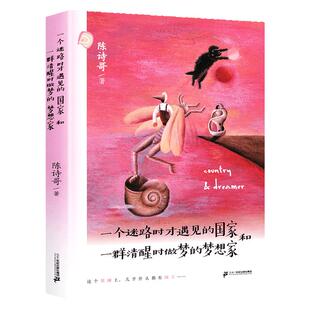 一个迷路时才遇见的国家和一群清醒时做梦的梦想家陈诗哥百班千人29期四年级书目小学三五年级课外阅读故事书校园小说寓言幻想童话