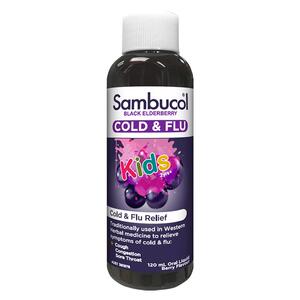自营补锌接骨木莓SAMBUCOL