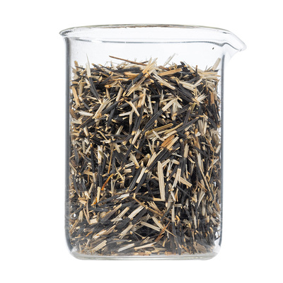 农滋恋四季易播种耐寒园林绿化