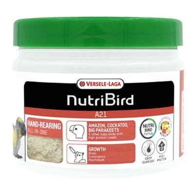 A21幼鸟鹦鹉奶粉比利时凡赛尔雏