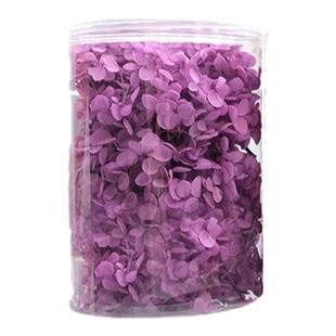 永生花木绣球20克渐变手工花瓣diy贴画材料干花材料包花材不凋谢