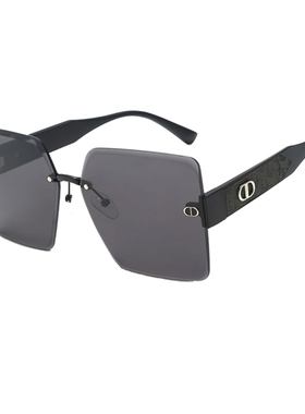 无边框墨镜女士高级感大脸显瘦