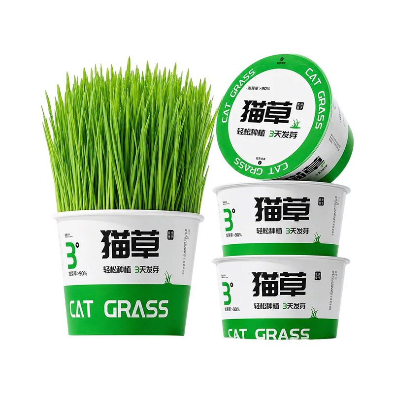 【央妈推荐】3天发芽7天成草