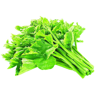 绿健专吃叶子南瓜种子种籽苗茎嫩叶藤青菜南瓜尖蔬菜苗孑叶苗种