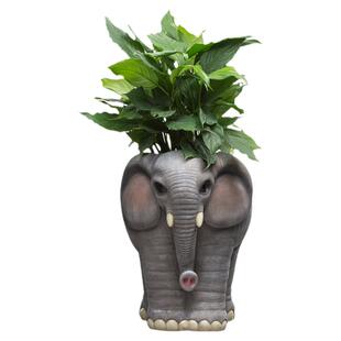大型创意大象花盆摆件室内客厅别墅庭院门口商场大厅落地绿植花器