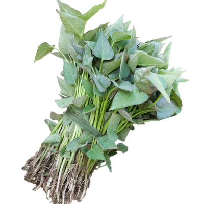 红薯苗秧西瓜红地瓜苗榴莲蜜薯苗板栗糖心秧苗种子老品种红瑶苗种