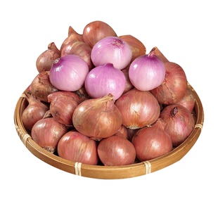新鲜东北毛葱头农家自种新毛葱农家特产小洋葱头迷你圆红葱整箱