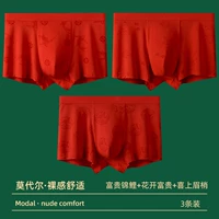 Рич кои цветок цветут богатые и счастливые брови