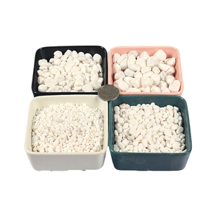 天然白石子庭院铺路鹅卵石白色石子颗粒小白石头阳台造景景观砾石