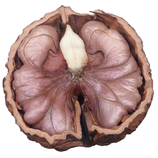 2025年新鲜生核桃云南漾濞紫米核桃野生薄皮孕妇专用原味娘亲尖嘴