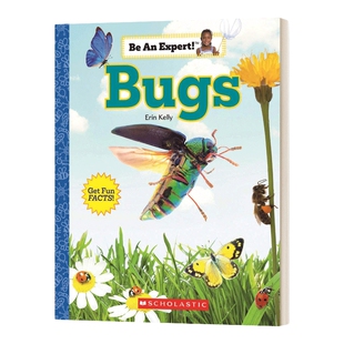 英文原版 Be An Expert Bugs 成为虫子专家 英文版 进口英语原版书籍儿童外文书