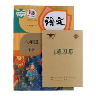 金儿博士单线本36开单线练习本横线练习本小单线本36k学生作业本