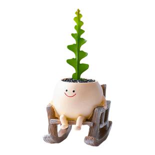 鱼骨令箭盆栽办公室内桌面好养植物客厅绿植花卉创意解压礼物花卉