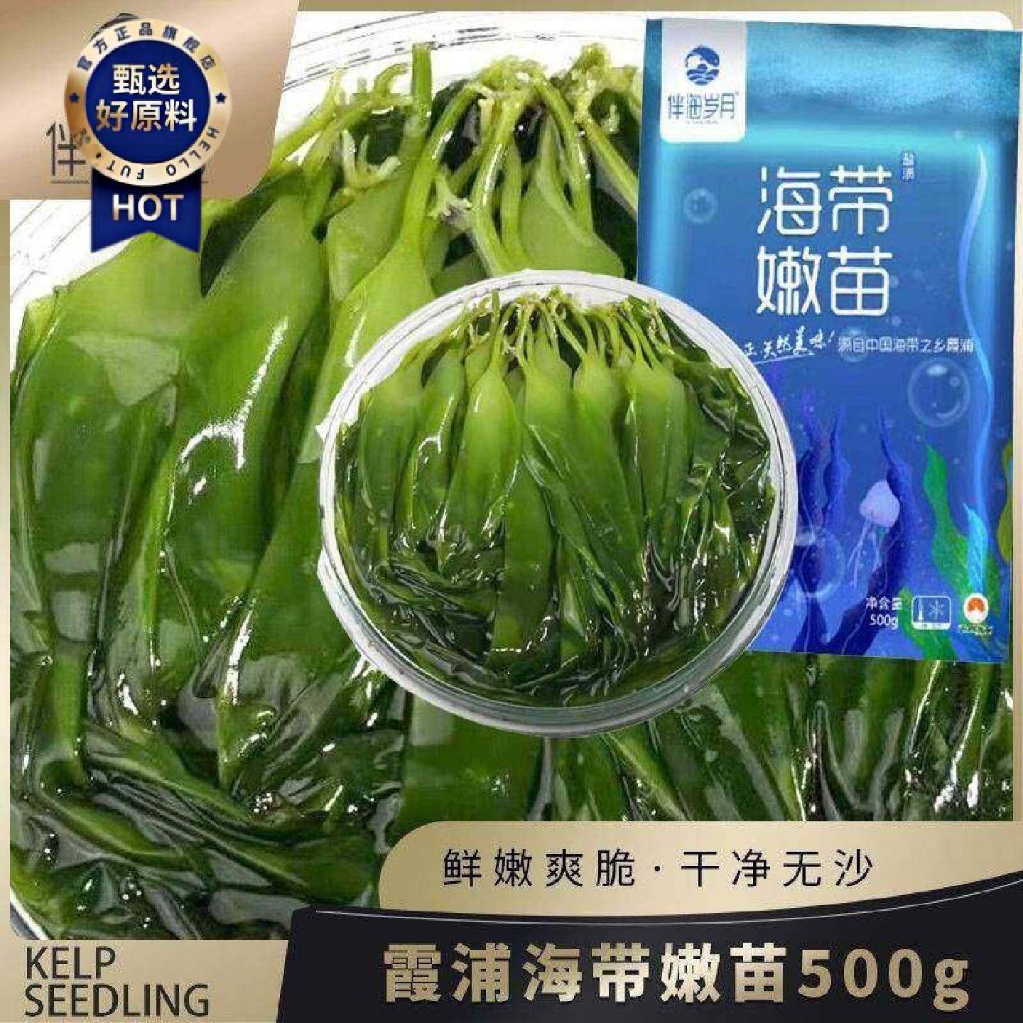 伴海岁月海带嫩苗霞浦海带苗嫩苗芽凉拌火锅煲汤裙带菜盐渍海藻菜