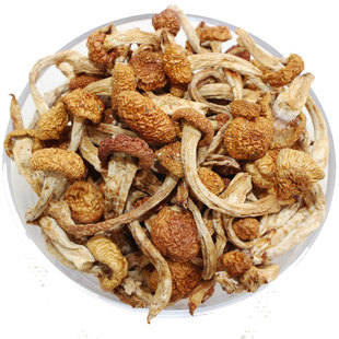 长白山滑子蘑250g东北特产滑子菇干货小鸡炖蘑菇食材非野生滑菌菇