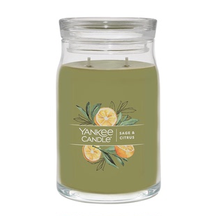 YankeeCandle扬基美国进口香薰蜡烛卧室家用香氛生日伴手礼