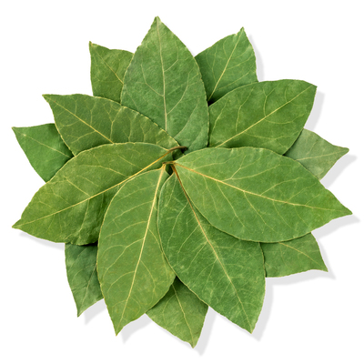 广西特级香叶500g月桂叶食用干货