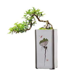 简约手绘四方形高款紫砂兰花专用绿植花盆悬崖多肉老桩飘枝造景盆
