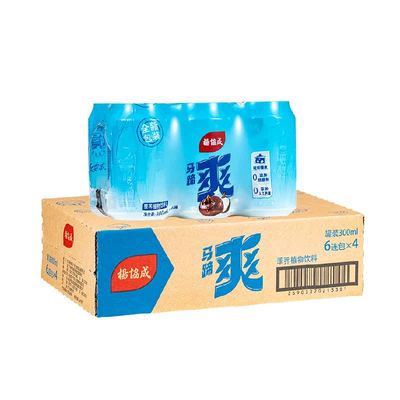 杨协成原味马蹄爽300ml×24罐