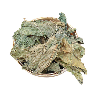 霜桑叶 冬桑叶 霜打桑叶干桑叶中药材 非桑叶茶天然野生