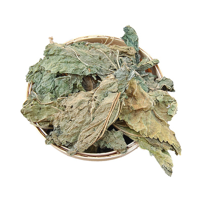 霜打桑叶冬桑叶片天然野生