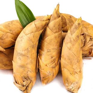 江西农家冬笋新鲜现挖现发冬笋今年当季新货野生黄泥毛竹笋