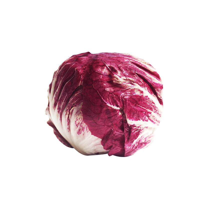 新鲜红菊苣500g 紫苣落地球生菜 西餐蔬菜沙拉食材 满5件包邮