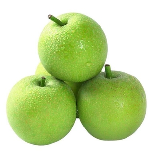 正宗皇冠梨砀山青梨9斤当季新鲜水果翠冠梨蜜早雪梨青皮梨子特产