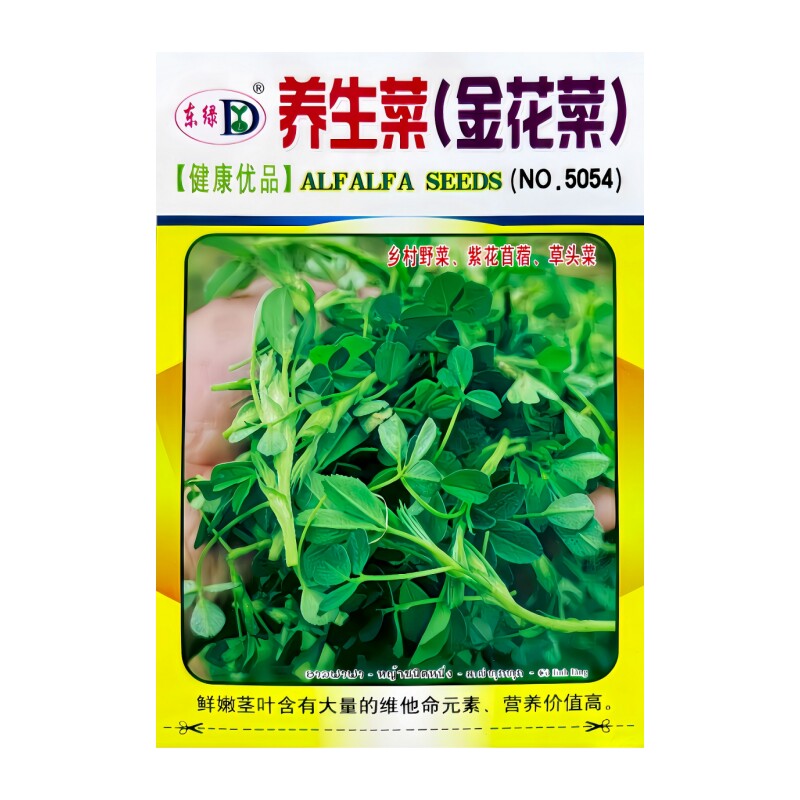 金花菜种子养生菜乡村野菜苜蓿菜草头菜籽营养价值高大田蔬菜种籽