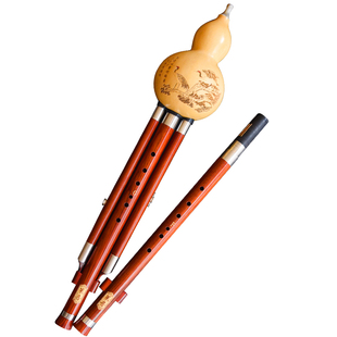 红木双调葫芦丝F加G降B加CA小D调音准易吹不易裂成人自学演奏乐器