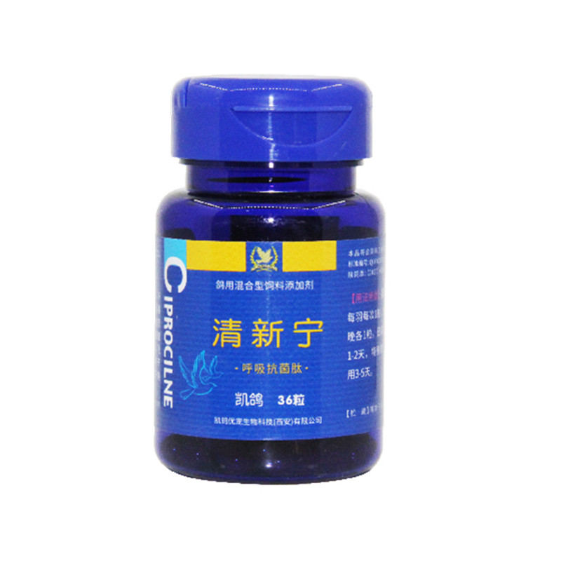清新宁凯鸽呼吸道三合一肠道衣原