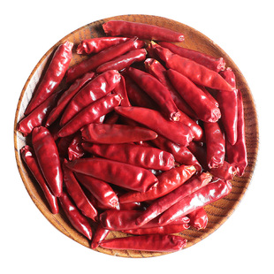 新一代干辣椒微辣特香河南天鹰红朝天椒段/粉500g包邮海椒干货