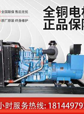 玉柴300KW发电机组 YC6MJ500L-D21发动机养殖楼盘商店备用发电机