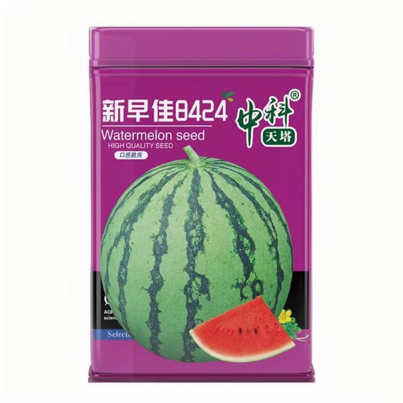 新早佳8424西瓜种子早熟高产