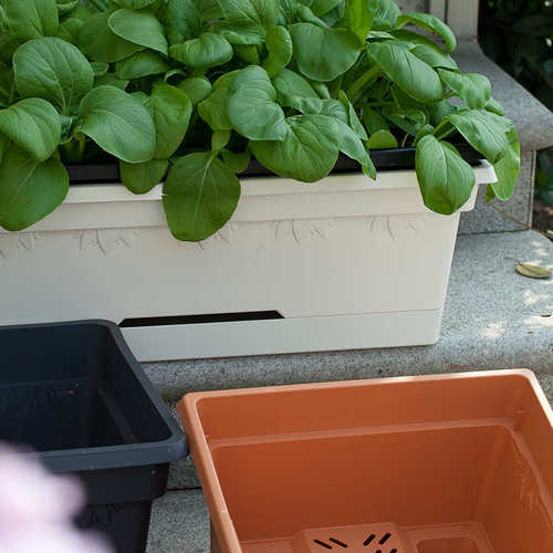 虹越嘉伯瑞赛翎阳台种菜盆种菜神器种菜专用盆家庭塑料花盆花槽