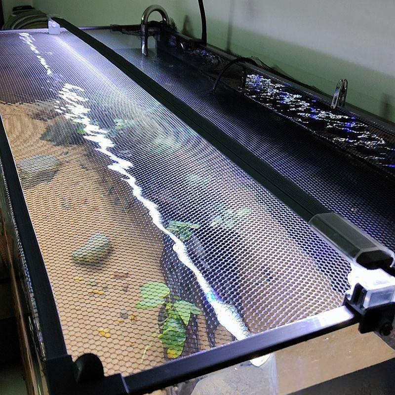 新款加装投喂装置鱼缸防跳网加厚磁条磁吸防逃盖雷龙防跳网乌龟