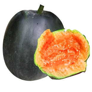 老品种黑面瓜种子四季播春季秋季水果种孑香甜糯黑皮红瓤香瓜种籽