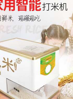 微型打米机碾米机家用小型全自动水稻脱研磨多功能工具稻谷