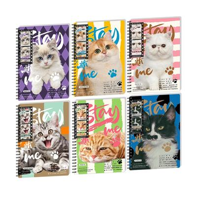 晨光全是喵可爱猫咪笔记本