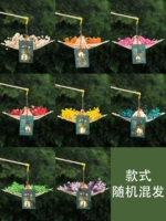 Лодка Звездного Дракона [смешанные волосы]