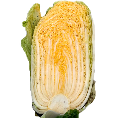 满满大黄心包头白菜秋季播高产