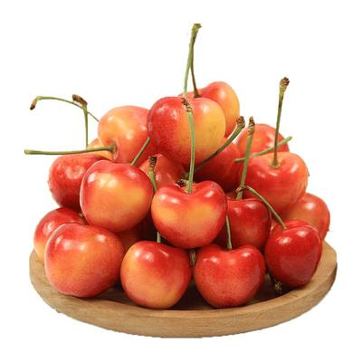 空运次日达|智利雷尼尔|精美礼盒