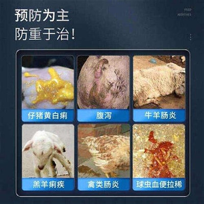 华畜兽用白头翁猪牛羊马腹泻拉稀止痢肠炎痢疾鸡用猪用饲料添加剂