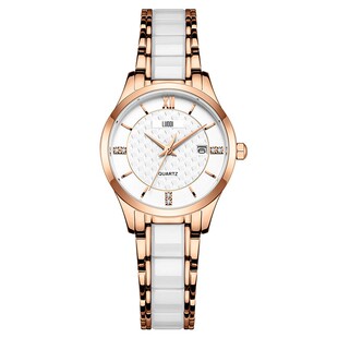 正品瑞士女士手表名牌机械表女款全自动防水夜光十大气质轻奢女表